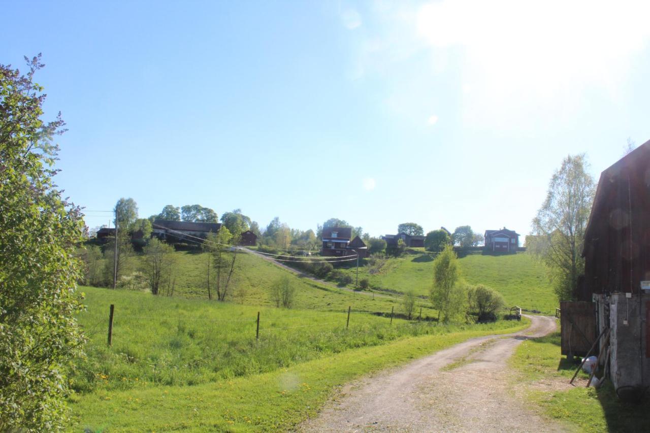 Boende Naera Romme Alpin Och Andra Friluftsaktiviteter I Dalarna Smedjebacken Exterior photo